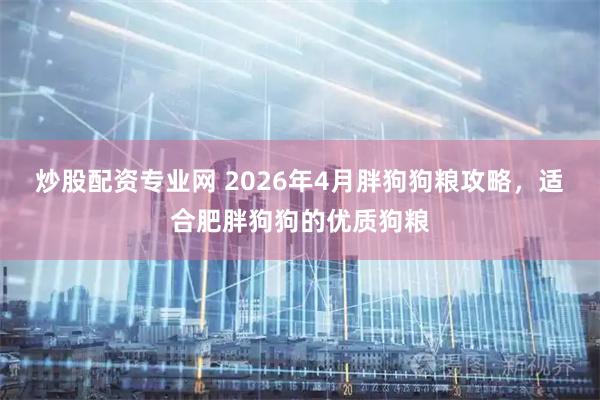 炒股配资专业网 2026年4月胖狗狗粮攻略,适合肥胖狗狗的优质狗粮